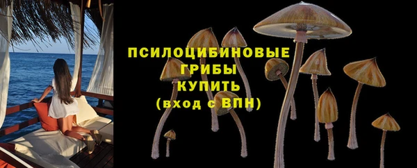 apvp Вязьма