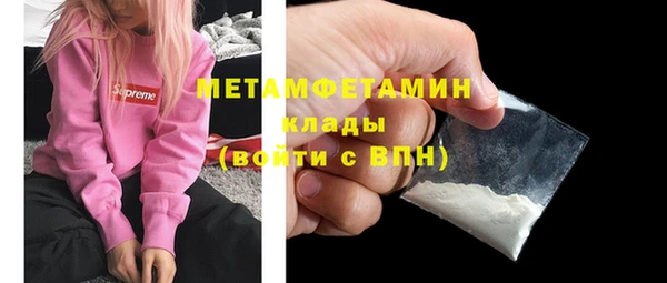 гидра Козловка