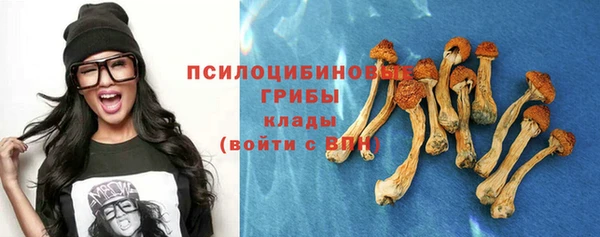 apvp Вязьма